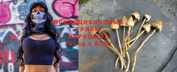 мяу мяу кристалл Арсеньев