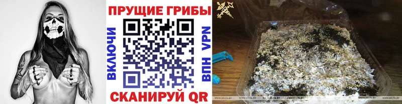 Галлюциногенные грибы мицелий  закладка  Бронницы 
